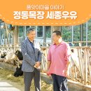 정동축산 이미지