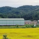 (주)세명백트론