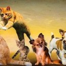 천안동물약국 이미지