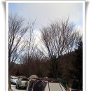 무호 Daum카페