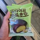 너른공원_1, 2 (옥외2) | [부여] 1박 2일 꽃구경 | 성흥산성 사랑나무, 정림사지 벚꽃, 국립부여박물관, 궁남지, 살구스튜디오