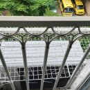 더 프로크린 이미지