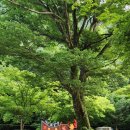 브람스 펜션 이미지