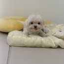 힐스토리 가동 | [일상 ] 전기세 걱정되는 8월