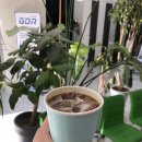 골프존에코GDR아카데미