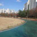 금호공원 맞은편 이미지