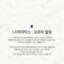 오로라의원 네이버블로그
