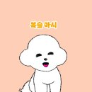 원할머니보쌈족발 강원동해점 | 홍천 비발디파크 맛집 띵킹독 원할머니 보쌈 식객 명품한우관