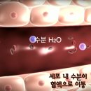 한국청정음료