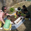 상산초교 병설유치원 이미지