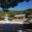 산채명가 이미지