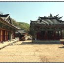 청룡사 등산로 이미지