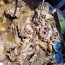 별꽃민박 이미지