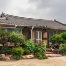 솔나무안집 이미지