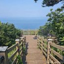 보령베스트 이미지