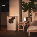 펫코노미 이미지