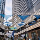 강서월드태권도장 이미지