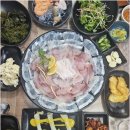 싱싱활어회 이미지