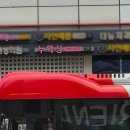 바이윤 래쉬앤 브로우 | 강남 속눈썹펌 누왁싱 앤 브로우 재방문, 유지력 때문에 다시 간 후기