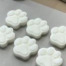 아르떼 퍼피 이미지