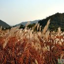 섬진강나루 이미지