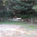 요진아파트 이미지