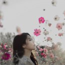 돈암카 Daum카페