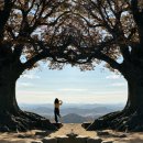 국립부여박물관 | 부여 가볼만한 곳 ｜사랑나무 &amp; 국립부여박물관 방문 후기