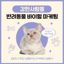 주식회사 반려동물 | [주식회사 강한사람들] 반려동물 바이럴 마케팅 전략