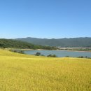 덕산저수지 이미지