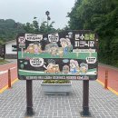 청솔마트 | 울산 남구_ 숯불바베큐가 가능한 피크닉장, 파라솔과 테이블이 있어 가족 나들이하기 좋은 문수힐링...