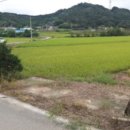 자개1리마을회관 이미지