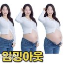고우리 스포츠경향