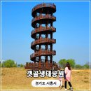 갯골생태공원(인포센터) | 시흥 갯골생태공원 주차 벚꽃