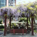 사등면보건지소 이미지