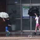 연평초교 이미지