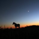 제주도 푸른밤 이미지