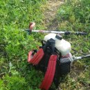 솔아농장 이미지