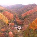 민주지산자연휴양림 이미지