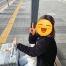 투어(산티아고투어), 김청환전, 목식당 해피아워, 척칩, 씨에스타나트랑호텔, 그릭키친, 세일링클럽