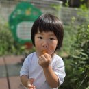 (9-1) 빨강.노랑 방울 토마토♡ 이미지