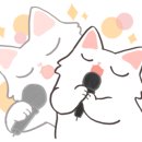 발라당냥 이미지