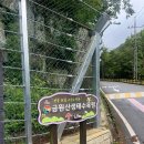 거창광고 - 송파구 백제고분로27길 39 | 거창 숙소 추천 금원산자연휴양림 휴양관 편백나무 숙박 후기