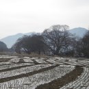 평암보건진료소 이미지