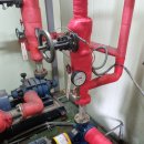 가나무로 이미지