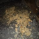 오포1동-3 이미지