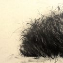 더 도그맘 이미지