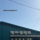 멍아일랜드