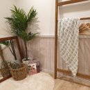 제주 드 루앙 이미지