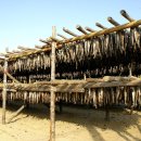 진부목장 이미지